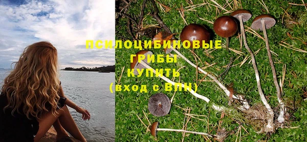 экстази Богданович