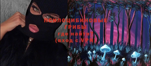 экстази Богданович
